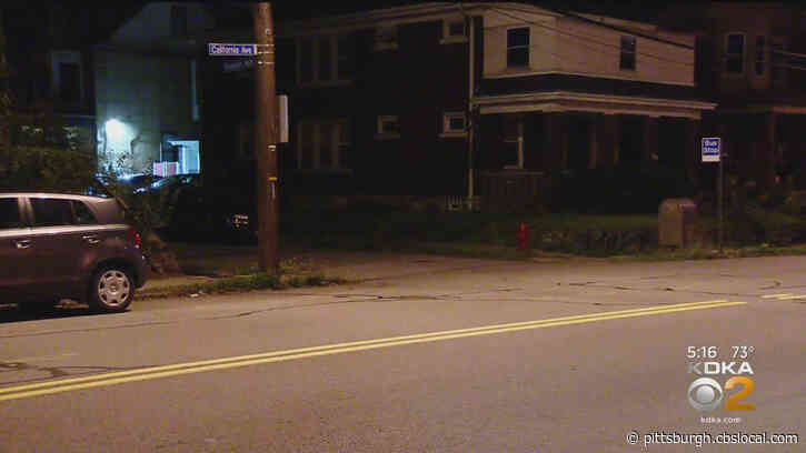 City Of Pittsburgh Installing Speed Humps Along California Avenue