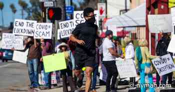 The Empathy Wars - New York Magazine