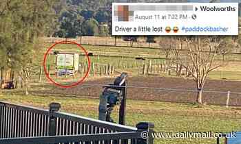 Regional NSW woman snaps hilarious photo of Woolworths delivery driver ...