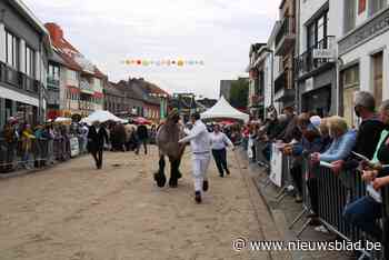 Gezellige drukte op jaarmarkt mét mondmaskers: “Hier snakten we allemaal naar”