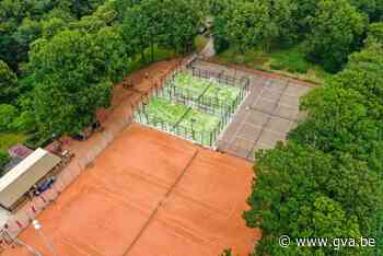 Tennisclub Molenheide biedt nu ook padel, met natuur als extra troef - Gazet van Antwerpen
