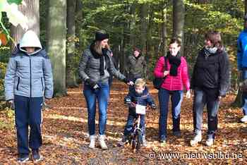 Wandelzoektocht met KWB Holsbeek-Plein