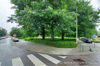 Herinrichting Pallieterdriehoek zorgt voor veiligere omgeving