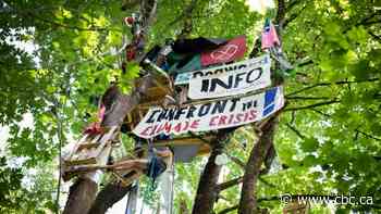 Anti-pipeline activists mark one year of treetop occupation in Burnaby