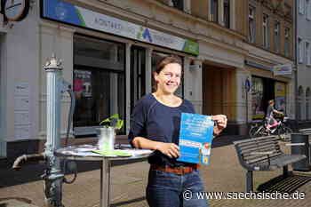 Riesa: So lief der Start für Riesas Innenstadtmanagerin - Sächsische.de