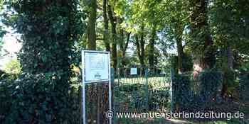 Festival in Ascheberg: Auf den Spuren jüdischen Lebens auch in Herbern - Münsterland Zeitung