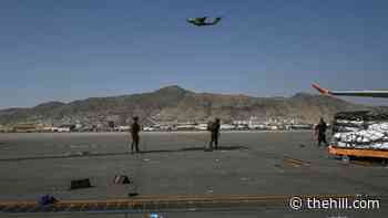 Over 700 evacuated by US from Afghanistan in past 24 hours