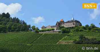 Corona sorgt für Verzögerungen Pächter für den Weinberg von Schloss Eberstein in Gernsbach gesucht von Thomas - BNN - Badische Neueste Nachrichten