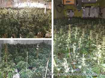 Cannabis farm found above former Accrington bar takes police 7 hours to dismantle