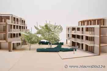 Verloederd stuk Paalstraat ondergaat metamorfose: notarissen Van Tricht-Geeraerts en De Ideale Woning bouwen tegelijk nieuw kantoor en 37 flats