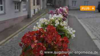 Das steckt hinter dem Blumenschmuck am Augsburger Mauerberg - Augsburger Allgemeine