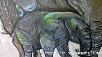 Leserfotowettbewerb 33/2021 Der besondere Blick auf Augsburg - Augsburger Allgemeine