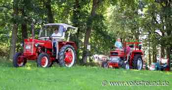 Oldtimer-Traktortreffen in Morbach-Rapperath - Trierischer Volksfreund