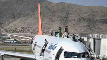 US commander vows 'overwhelming force' if Taliban interfere with evacuation