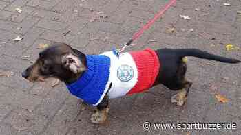 Holstein Kiels Auftrag: Siegen für Carlo! - Sportbuzzer