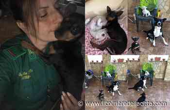 Pomezia-Ardea, il mondo animalista dice addio a Catia, scomparsa troppo presto - Il Corriere della Città