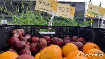 Calgarians share tips to save money on groceries