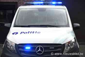 Politie patrouilleert in Stadstuin maar stelt geen overlast vast - Het Nieuwsblad