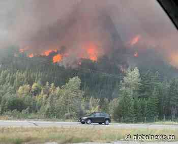 Smoke-filled summers the norm for Alberta: wildfire expert
