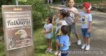 Besucherandrang beim Kinderfest des Hoppeditz im Zoo Neunkirchen - Saarbrücker Zeitung