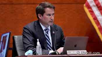 Democrat on Biden's claim some Afghans didn't want to leave earlier: 'Utter BS'