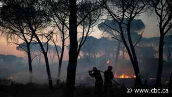 Thousands flee as firefighters battle wildfire in French Riviera