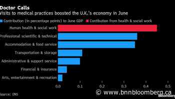 Health and Social Work Leads UK Services Growth in June - BNN
