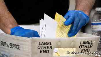 Georgia board to tap election review panel for Fulton County