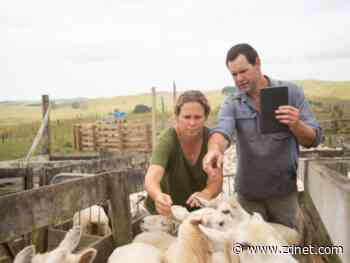 Roaming revenue drop leads to full-year declines for Spark