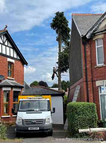 Pontypool landscaper and gardener is best in Wales - Free Press Series