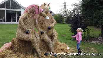 Kearsley Scarecrow Festival organiser's plea for entries - The Bolton News