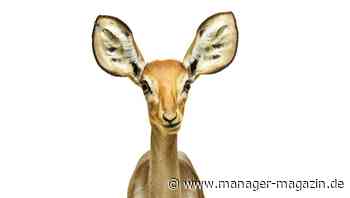 Wie Führungskräfte zuhören lernen