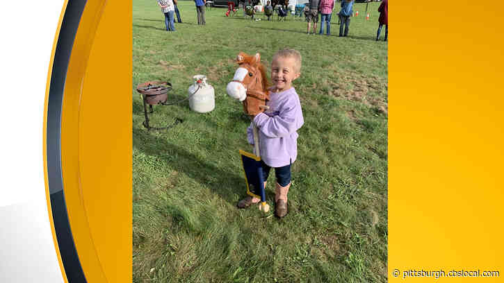 Pittsburgh Bureau Of Police Mounted Patrol Surprises Young Girl Battling Cancer