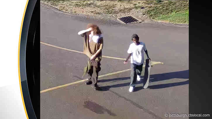 Zelienople Borough Police Searching For Suspects In Vandalism Of Zelienople Community Park