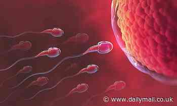 Couple's chance of having a baby falls by a THIRD when the potential father is over 50, study finds 