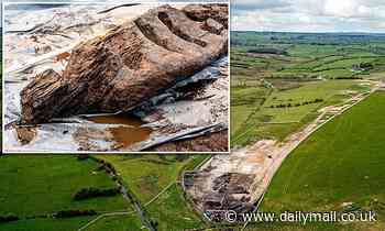 Archaeologists uncover Iron Age wooden pagan idol in Irish bog
