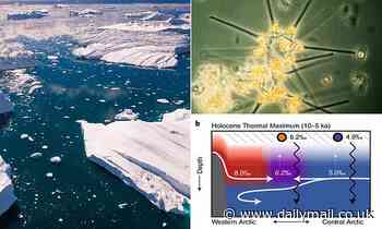 Scientists dispute claim melting ice caps will boost plankton levels, warn less nitrogen may kill it