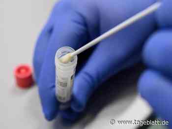 289 neue Corona-Infektionen in Niedersachsen - Landkreis Stade - Tageblatt-online