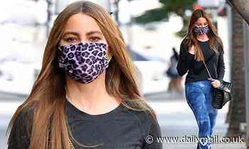 Sofia Vergara shows off fab figure in skin-tight leggings and sweatshirt during errand run - Daily Mail