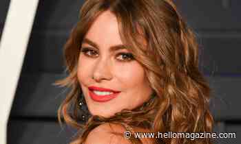 AGT's Sofia Vergara sets pulses racing with swimming pool selfie with unexpected new look - HELLO!