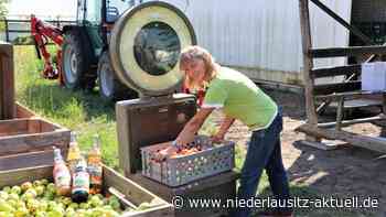 Start für Obstannahme in Guben - Niederlausitz Aktuell - NIEDERLAUSITZ aktuell