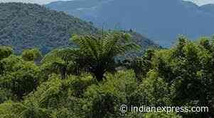 Panchkula: Norms violated, forest divisions want Jhuriwala land back - The Indian Express