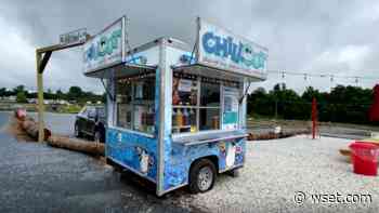 New Forest food truck offers snow cones and cotton candy - WSET