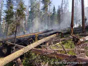 US Forest Service relies on aggressive attack of small Summit County wildfire with resources tied up around the country - Sky Hi News
