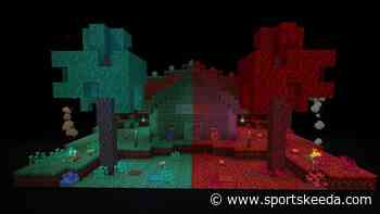 Warped forest vs crimson forest in Minecraft: How different are the two biomes? - Sportskeeda