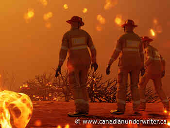Forest fire in northern New Brunswick still burning but now considered contained - Canadian Underwriter