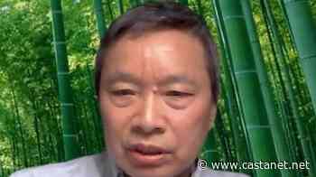 Virtual conference discusses new markets, opportunities for BC forest sector - Business News - Castanet.net