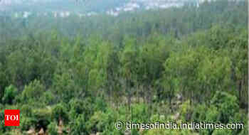 At 83,000 hectares, Karnataka has third highest forest encroachments - Times of India