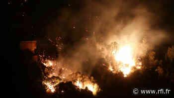 Morocco fights forest fires as situation in Algeria brought 'under control' - RFI English