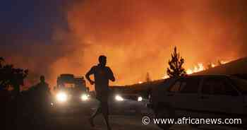 Forest fires rage in northern Morocco - Africanews English